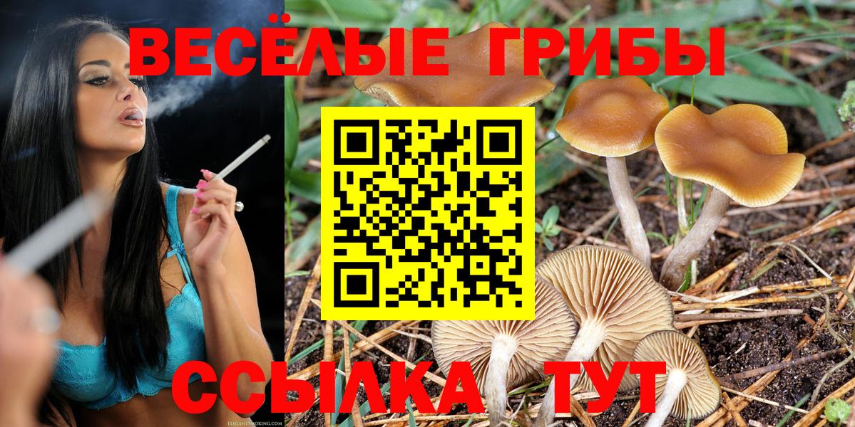 Псилоцибиновые грибы GOLDEN TEACHER  закладки  Прокопьевск  Псилоцибиновые грибы мицелий  Вход с VPN 