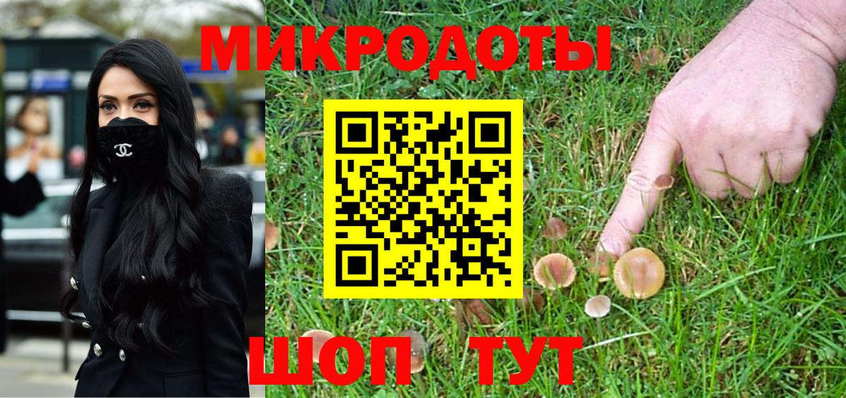 Псилоцибиновые грибы GOLDEN TEACHER Прокопьевск
